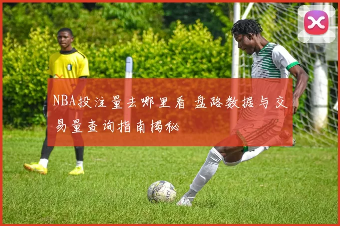 NBA投注量去哪里看 盘路数据与交易量查询指南揭秘