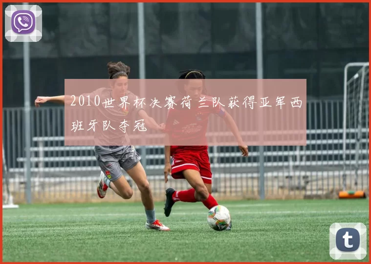 2010世界杯决赛荷兰队获得亚军西班牙队夺冠