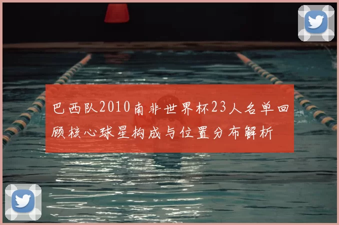 巴西队2010南非世界杯23人名单回顾核心球星构成与位置分布解析