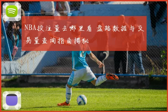 NBA投注量去哪里看 盘路数据与交易量查询指南揭秘