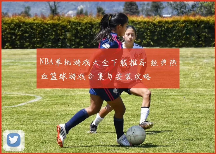 NBA单机游戏大全下载推荐 经典热血篮球游戏合集与安装攻略