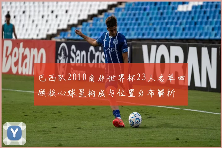 巴西队2010南非世界杯23人名单回顾核心球星构成与位置分布解析