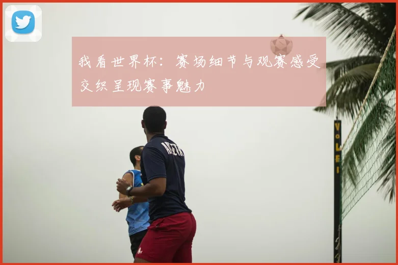 我看世界杯：赛场细节与观赛感受交织呈现赛事魅力