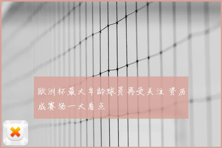 欧洲杯最大年龄球员再受关注 资历成赛场一大看点