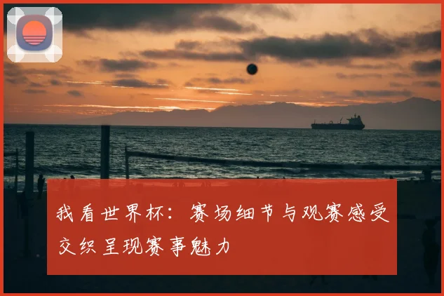 我看世界杯:赛场细节与观赛感受交织呈现赛事魅力