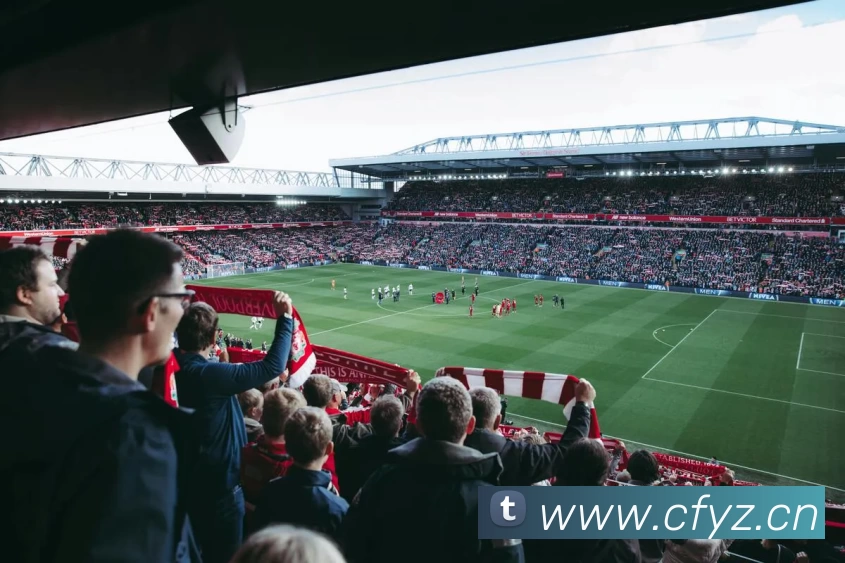 App Interface Preview