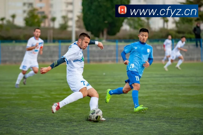 多媒体互动体验